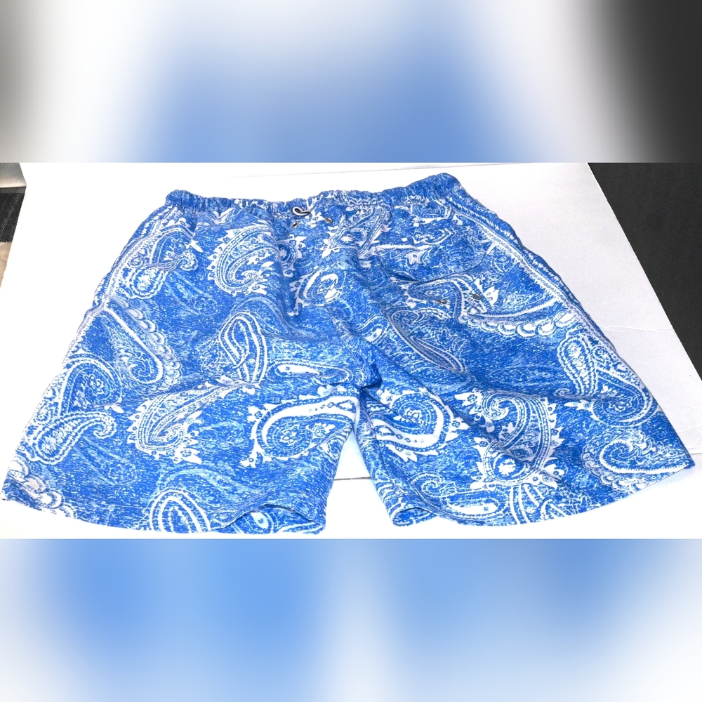 Reserved Patrick James Men's Large Blue and White Swim Trunks with liner, Beach,